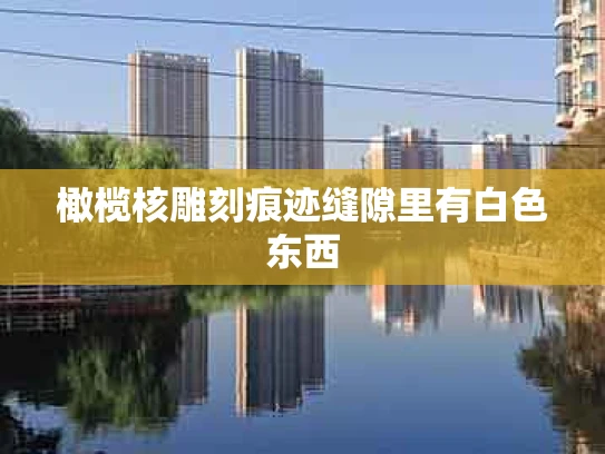 橄榄核雕刻痕迹缝隙里有白色东西