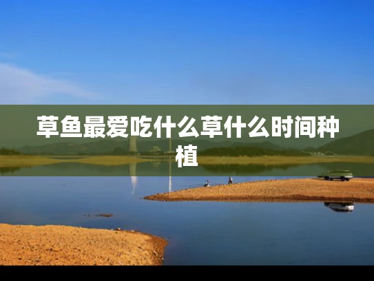 草鱼最爱吃什么草什么时间种植