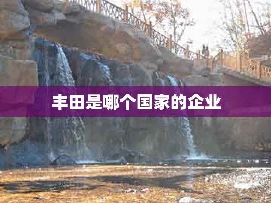 丰田是哪个国家的企业