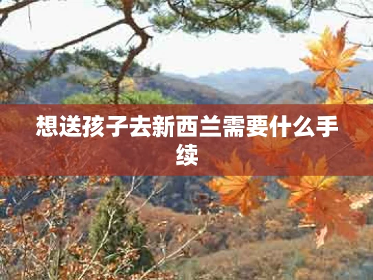想送孩子去新西兰需要什么手续