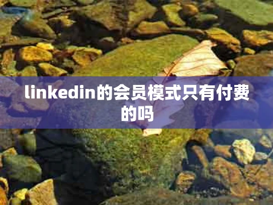 linkedin的会员模式只有付费的吗