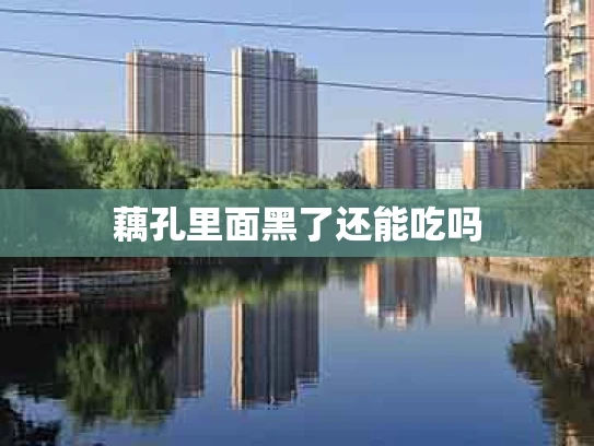 藕孔里面黑了还能吃吗