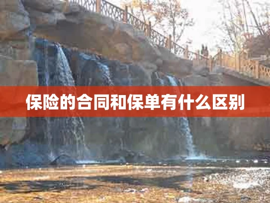 保险的合同和保单有什么区别