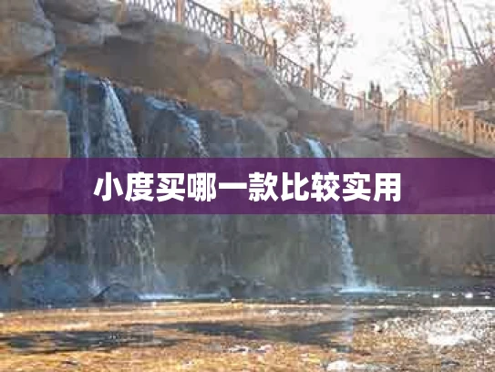 小度买哪一款比较实用