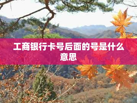 工商银行卡号后面的号是什么意思