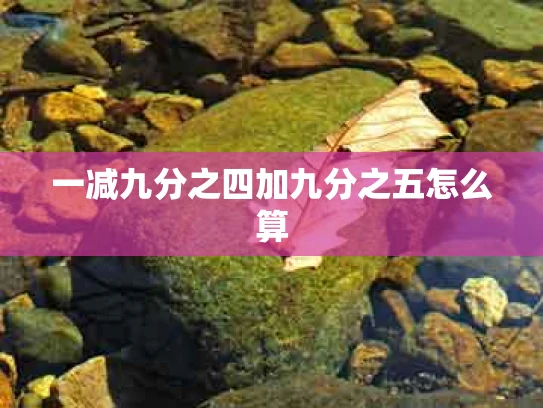 一减九分之四加九分之五怎么算