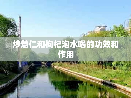 炒薏仁和枸杞泡水喝的功效和作用
