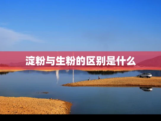 淀粉与生粉的区别是什么