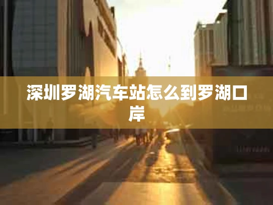 深圳罗湖汽车站怎么到罗湖口岸