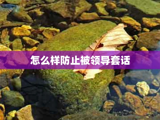 怎么样防止被领导套话