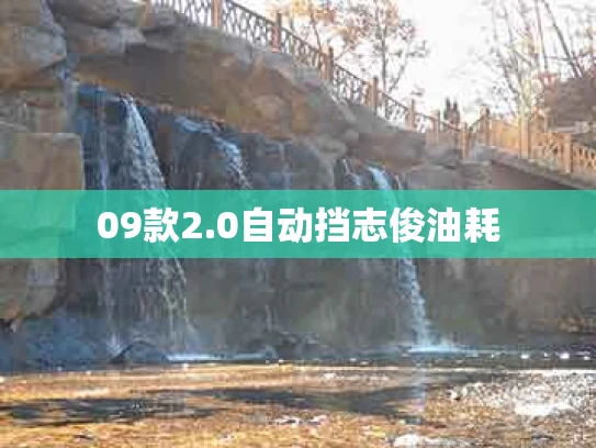 09款2.0自动挡志俊油耗