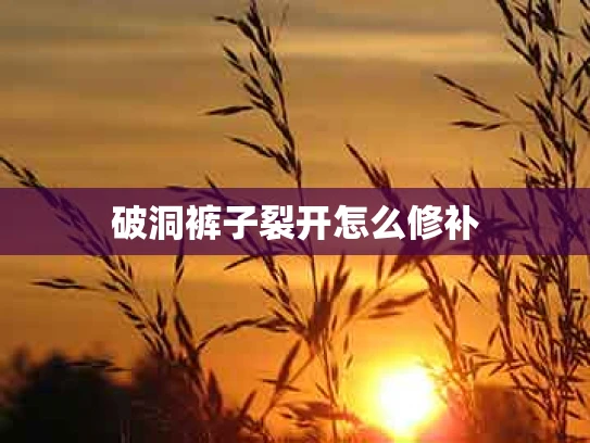 破洞裤子裂开怎么修补