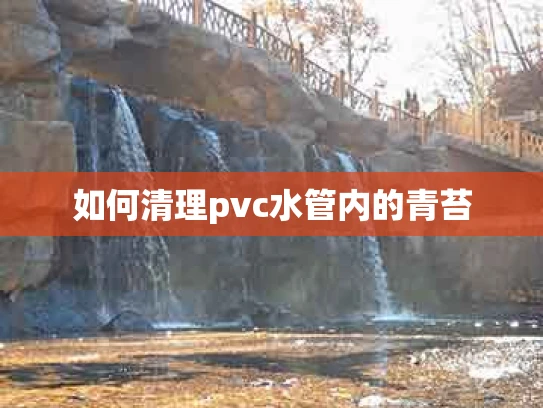 如何清理pvc水管内的青苔