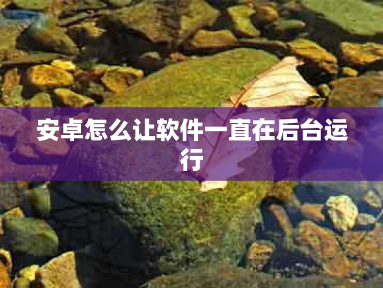 安卓怎么让软件一直在后台运行