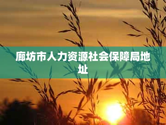 廊坊市人力资源社会保障局地址