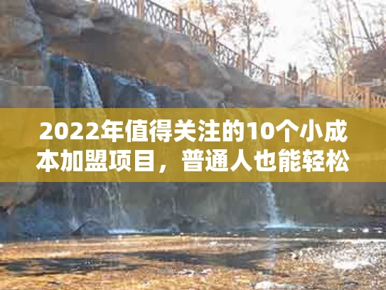 2022年值得关注的10个小成本加盟项目，普通人也能轻松创业