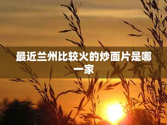 最近兰州比较火的炒面片是哪一家