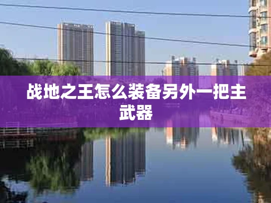 战地之王怎么装备另外一把主武器