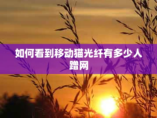 如何看到移动猫光纤有多少人蹭网