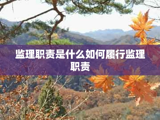 监理职责是什么如何履行监理职责