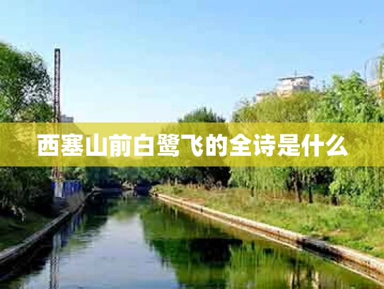 西塞山前白鹭飞的全诗是什么