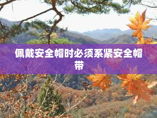 佩戴安全帽时必须系紧安全帽带