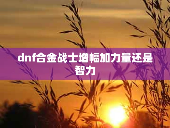 dnf合金战士增幅加力量还是智力