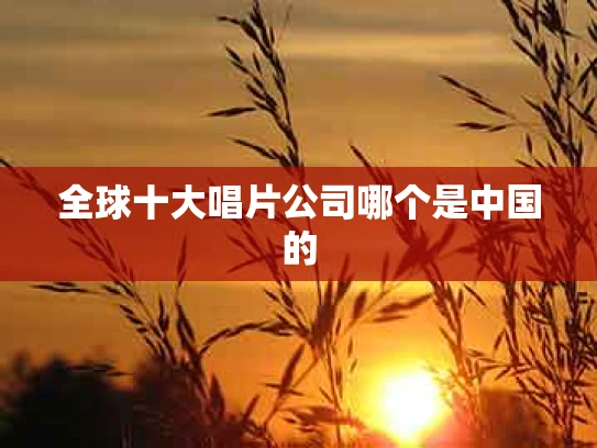 全球十大唱片公司哪个是中国的