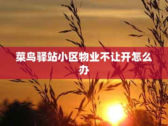 菜鸟驿站小区物业不让开怎么办