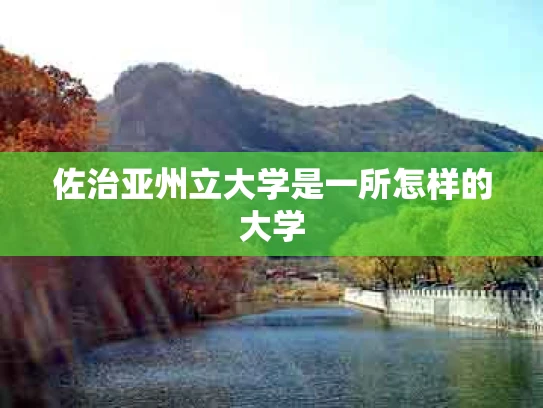 佐治亚州立大学是一所怎样的大学