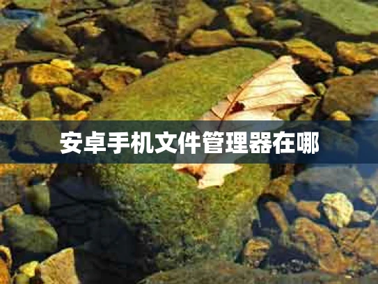 安卓手机文件管理器在哪