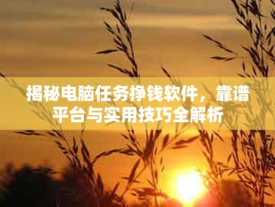 揭秘电脑任务挣钱软件，靠谱平台与实用技巧全解析