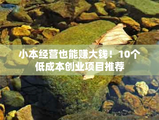 小本经营也能赚大钱！10个低成本创业项目推荐