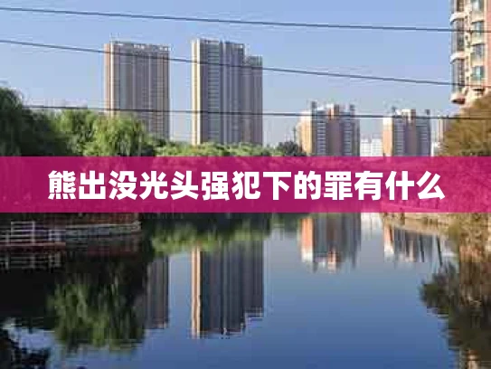 熊出没光头强犯下的罪有什么