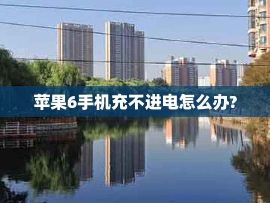 苹果6手机充不进电怎么办?