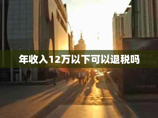 年收入12万以下可以退税吗