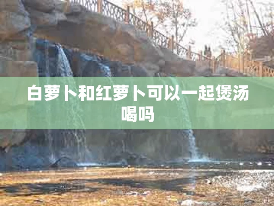 白萝卜和红萝卜可以一起煲汤喝吗