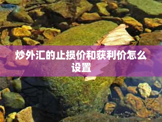 炒外汇的止损价和获利价怎么设置
