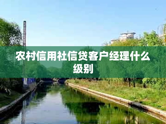 农村信用社信贷客户经理什么级别