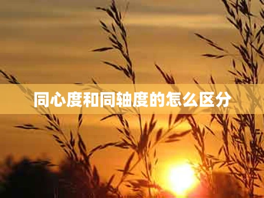 同心度和同轴度的怎么区分