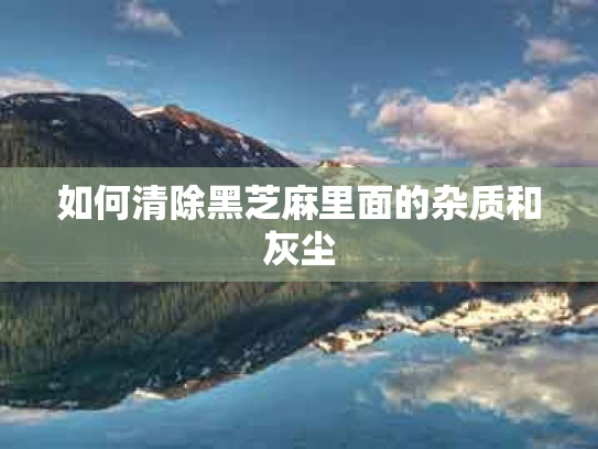 如何清除黑芝麻里面的杂质和灰尘
