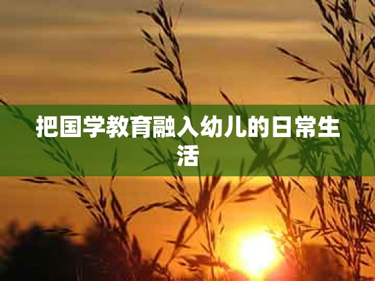 把国学教育融入幼儿的日常生活