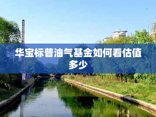 华宝标普油气基金如何看估值多少