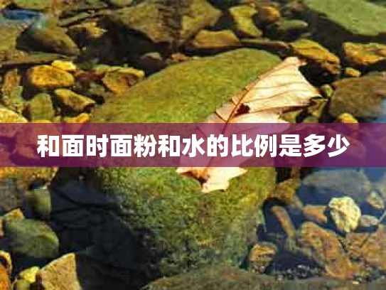和面时面粉和水的比例是多少