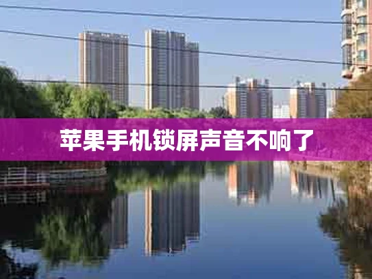 苹果手机锁屏声音不响了