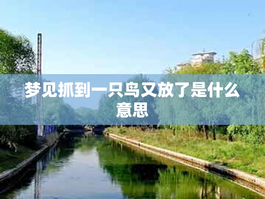 梦见抓到一只鸟又放了是什么意思
