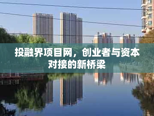 投融界项目网，创业者与资本对接的新桥梁