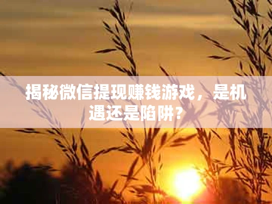 揭秘微信提现赚钱游戏，是机遇还是陷阱？