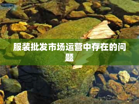 服装批发市场运营中存在的问题