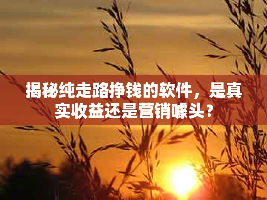 揭秘纯走路挣钱的软件，是真实收益还是营销噱头？